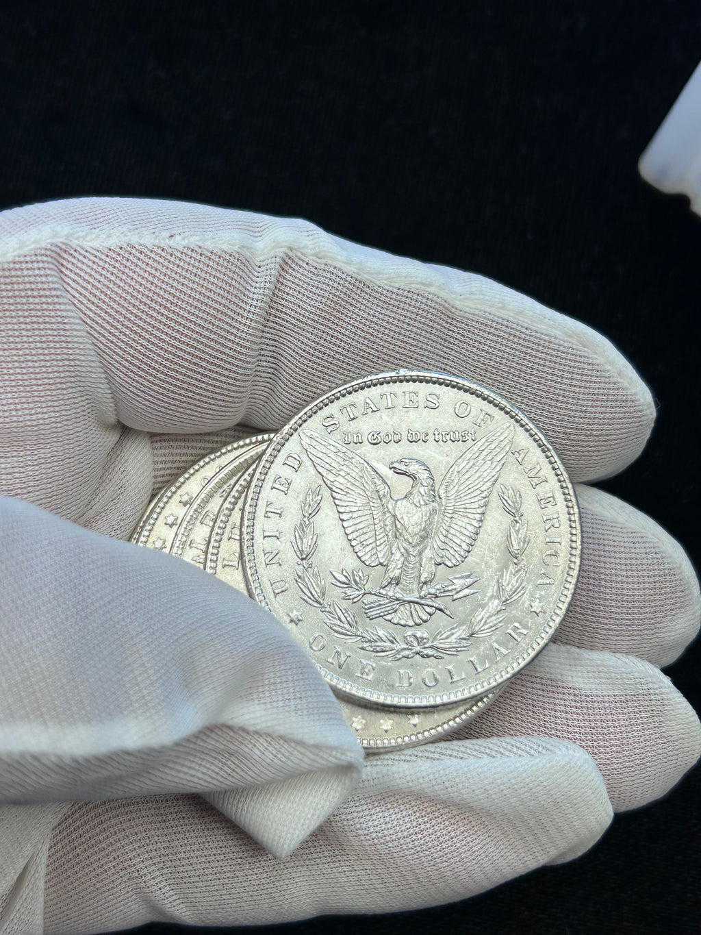 Mega Morgan Silver Dollar Roll — 20 Morgan Dollars with 1 Carson City Morgan